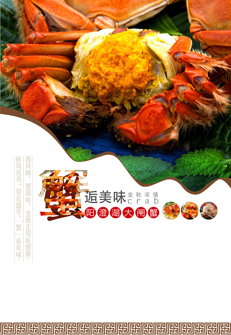 大闸蟹背景海报素材