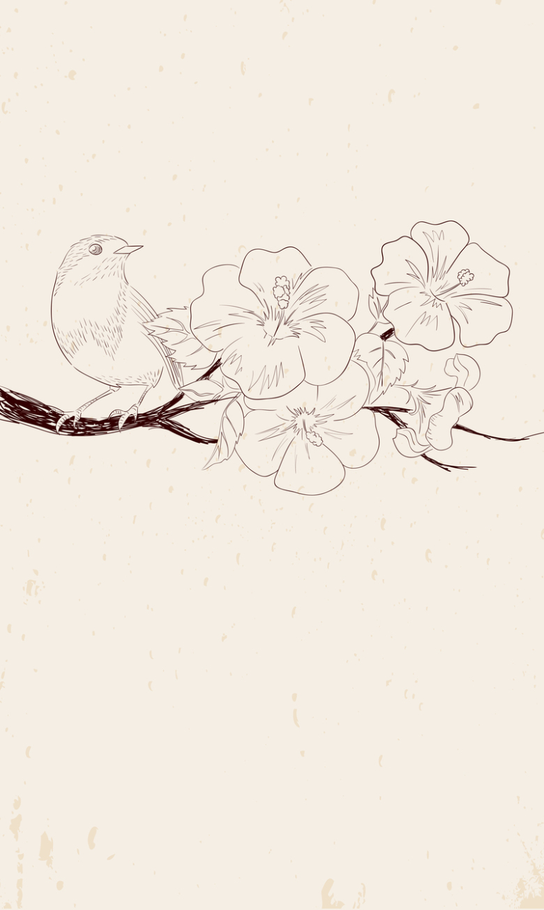 手绘小鸟海报背景素材