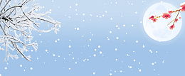 冬季腊梅文艺雪花蓝色banner