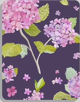 紫色鲜花绣球花手绘贺卡海报背景