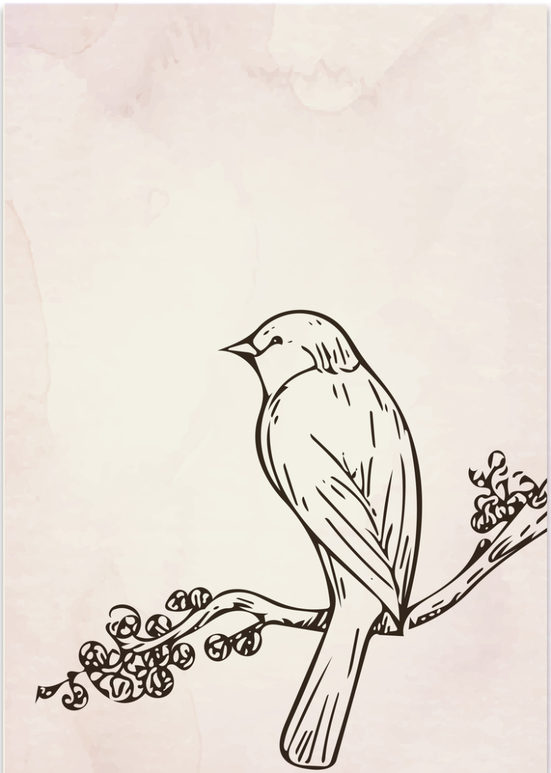 版画鸟类素色质感海报背景素材免抠素材免费下载 觅元素51yuansu Com