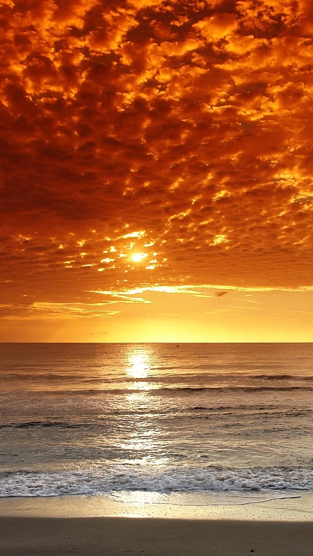 海边夕阳渐变风景h5背景