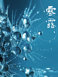 唯美露水微信配图寒露节气海报背景psd