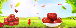 冬季进补红枣草地banner