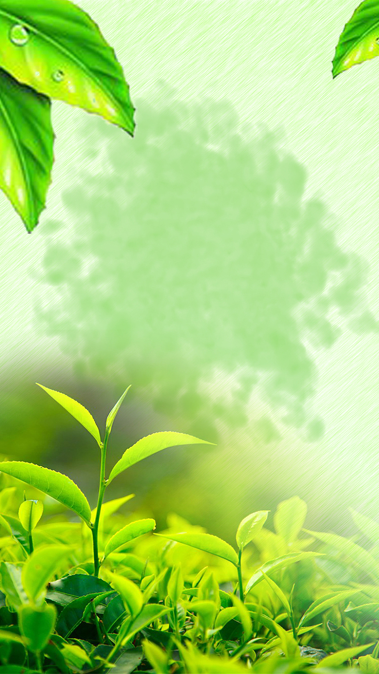 绿色树叶水墨背景