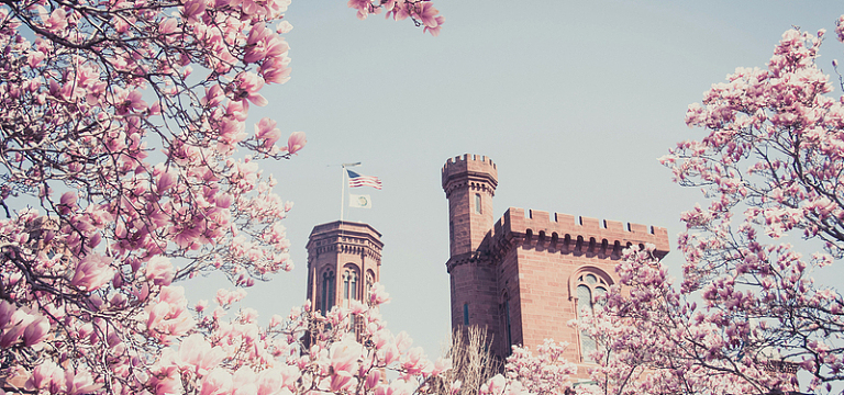 日系唯美清新文艺天空玉兰花建筑