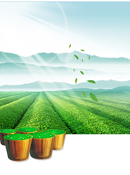 茶叶海报背景素材