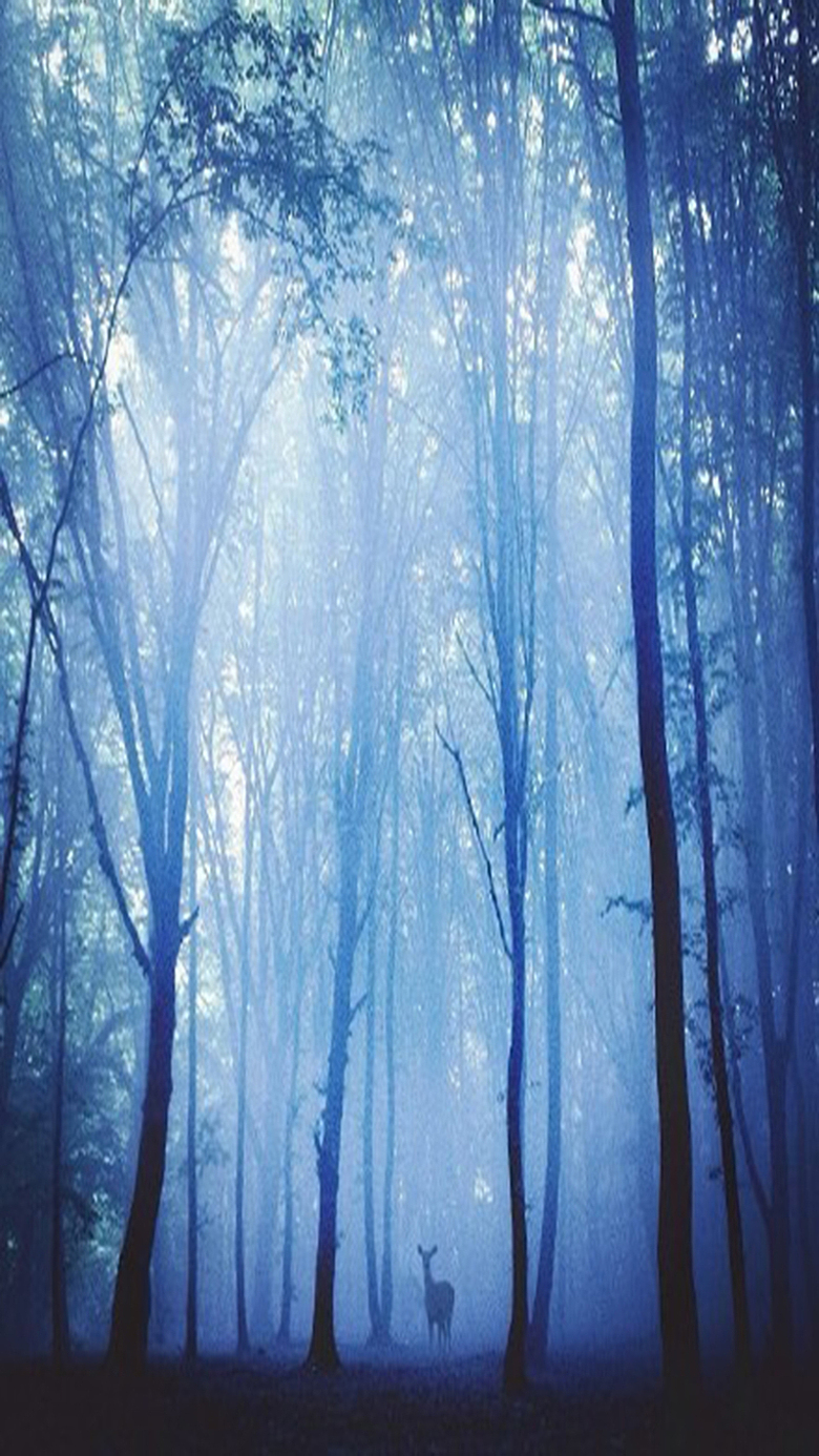 神秘蓝色森林背景图