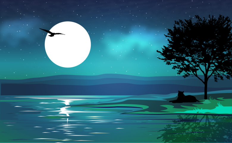 夜晚湖畔风景矢量背景素材