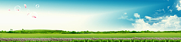 清明节春季踏青banner