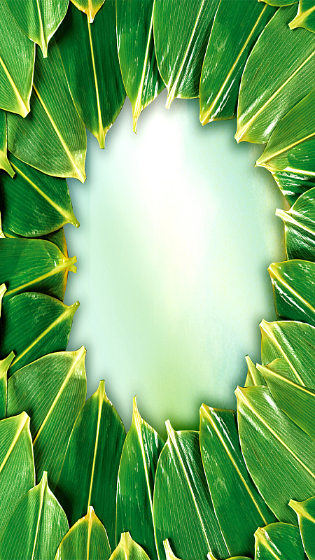 粽叶艾草图片-粽叶艾草高清图片大全-觅元素