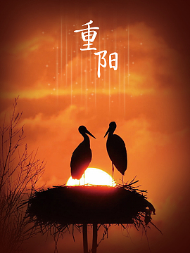 最美夕阳白鹭重阳海报背景psd