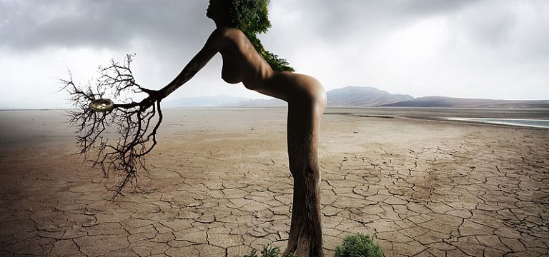 艺术形象艺术的景观图片