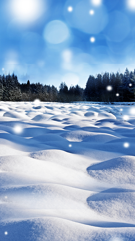 冰雪覆盖的森林