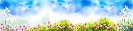 清明节春季踏青banner