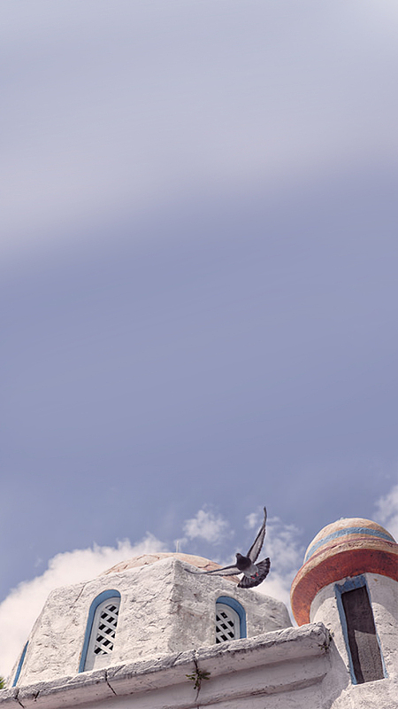 建筑飞翔鸟H5背景