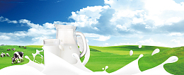 牛奶促销季景色奶牛草地banner