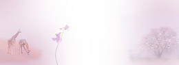 taobao 淘宝 banner 背景