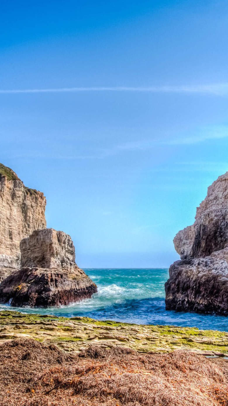 780_1386竖版 竖屏