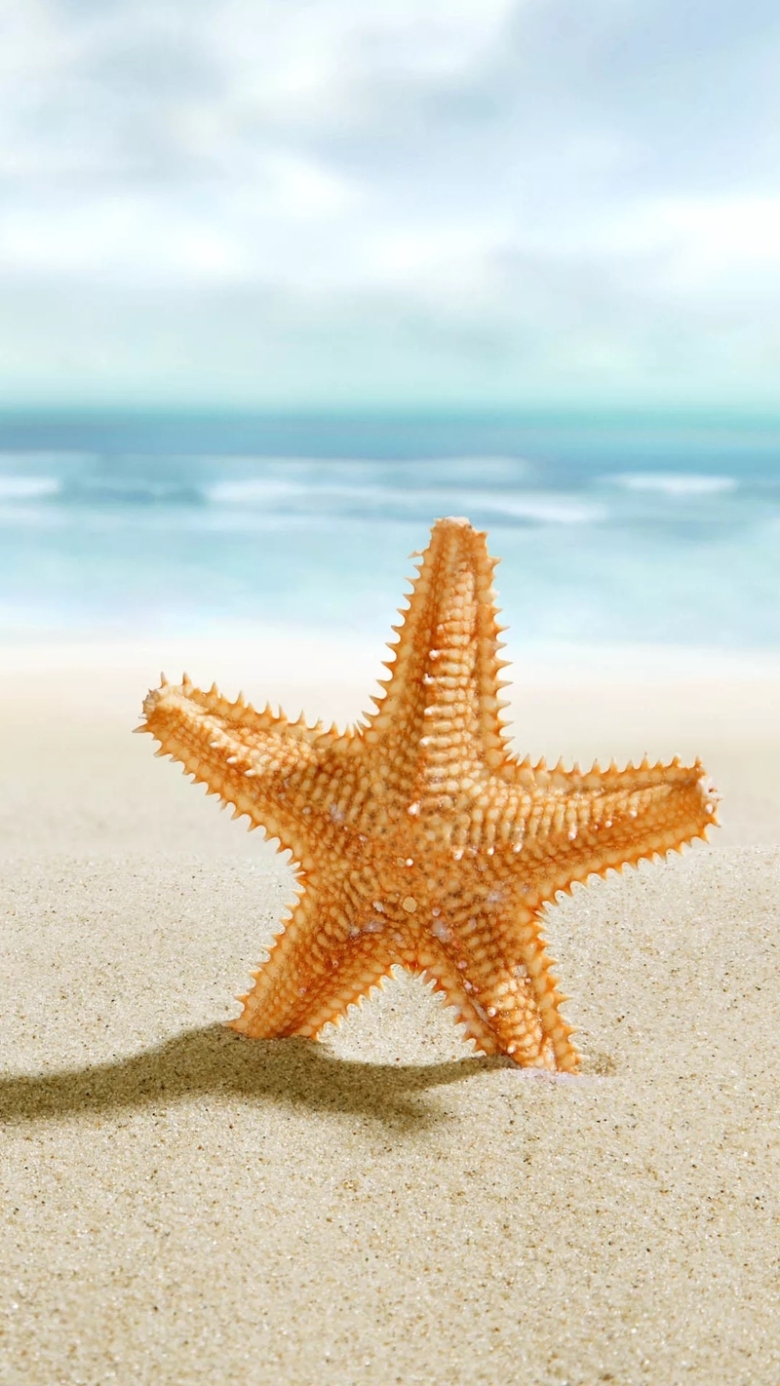 清凉海星海边背景虚化摄影h5背景