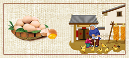 乡村土鸡蛋banner