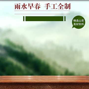 食品茶叶春季主图直通车春茶上市