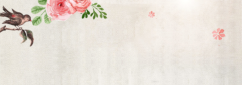 燕窝补品药材水墨banner海报