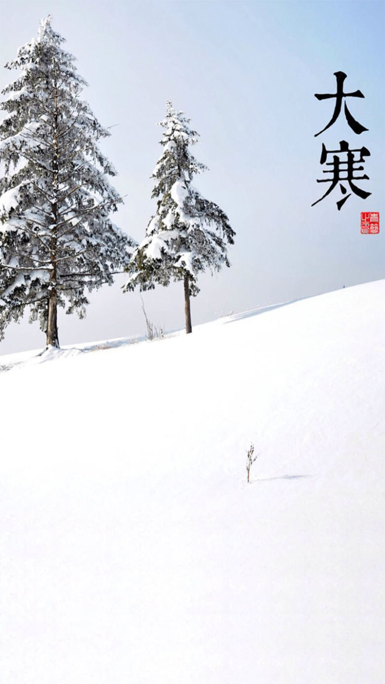 大寒h5素材背景