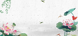 二十四节气小暑中国风食品荷花banner