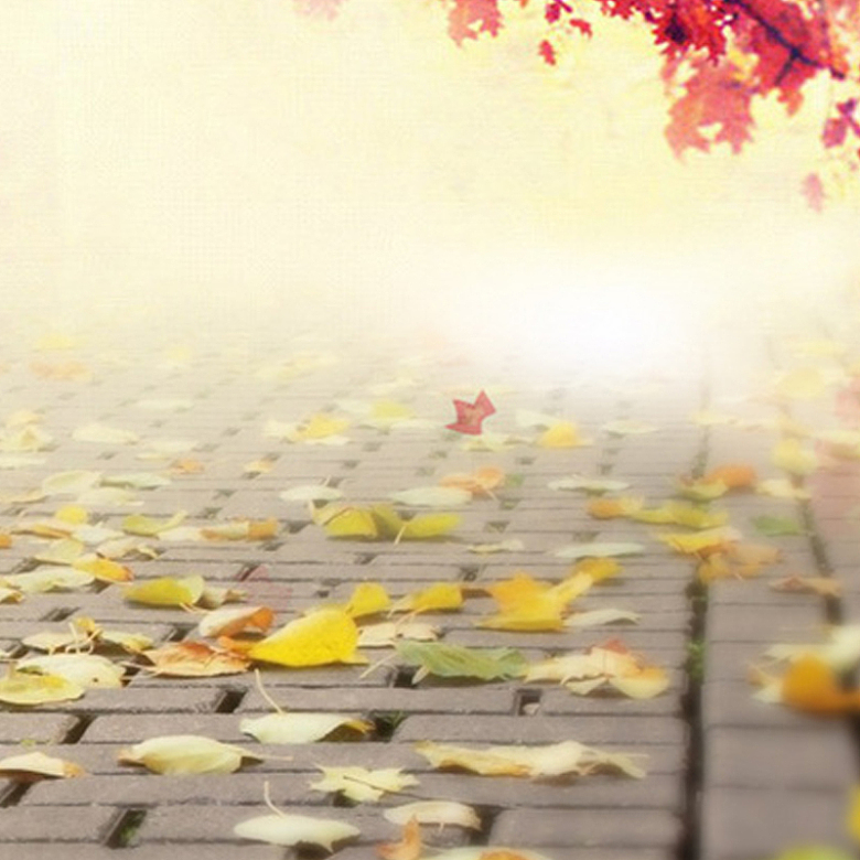 秋季朦胧落叶背景图