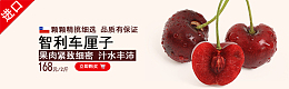进口智利樱桃售卖banner