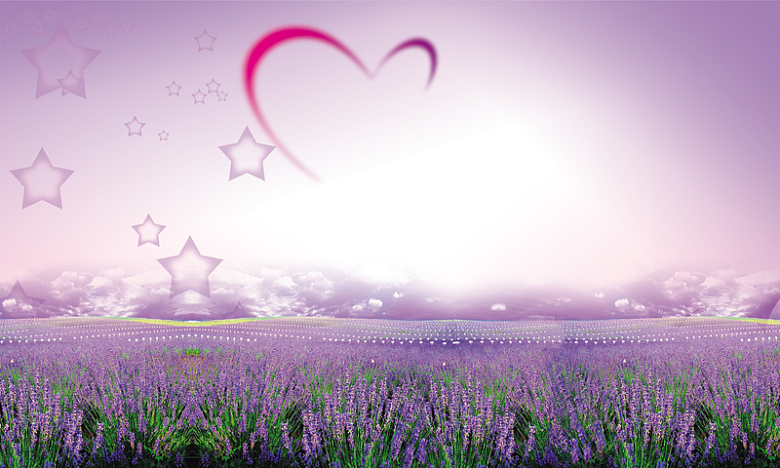 紫色薰衣草爱心背景图