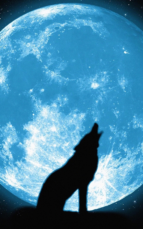 地球剪背景素材_地球剪背景图片下载_觅元素