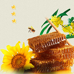 简约蜂巢蜂蜜食品PSD分层主图背景素材