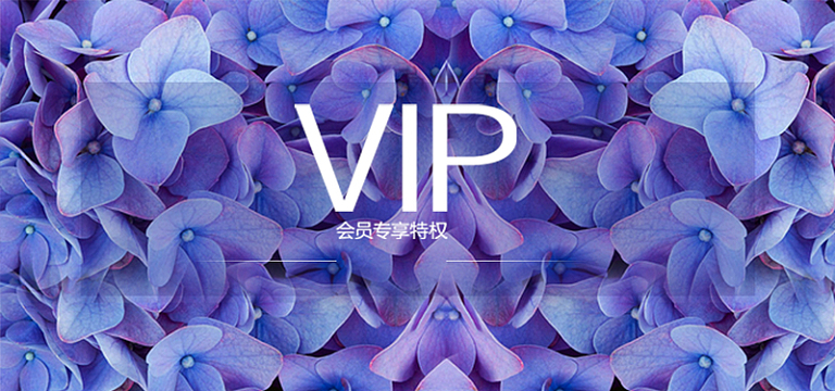 紫色绣球花背景图
