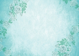 玫瑰花蓝色淡雅背景素材
