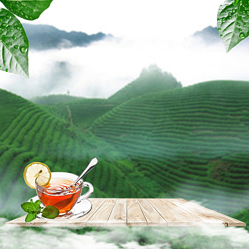 清新绿色茶园茶叶PSD分层主图背景素材