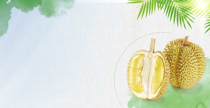 水果榴莲广告背景