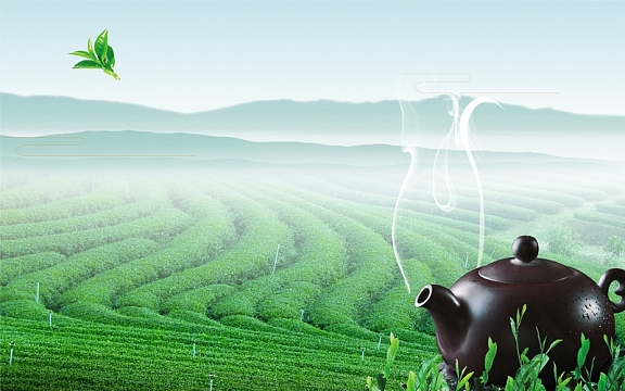 高山茶茶海报cdr背景模板
