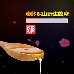 野生蜂蜜简约PSD分层主图背景素材