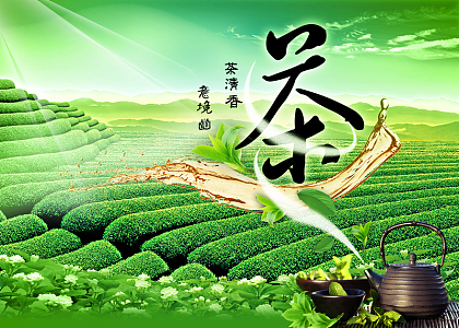 绿色茶山茶广告背景素材