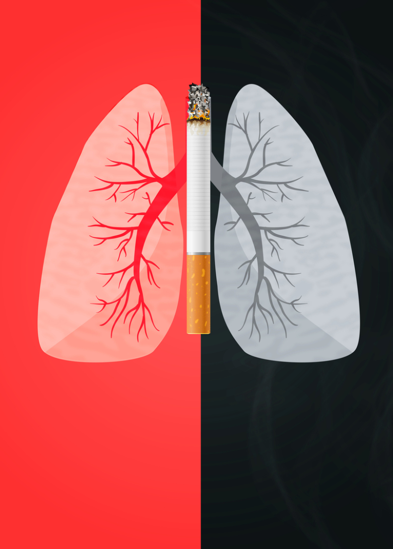 吸烟区,肺,吸烟室,严禁吸烟,控烟日,公益展板,珍爱生命,展板背景,关心