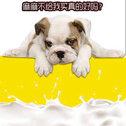 宠物食品狗粮直通车