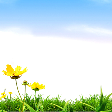 相约春天背景素材