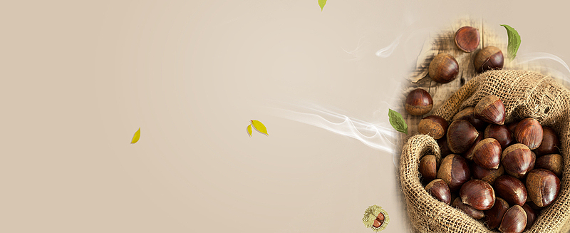 美味板栗简约绿叶棕色banner