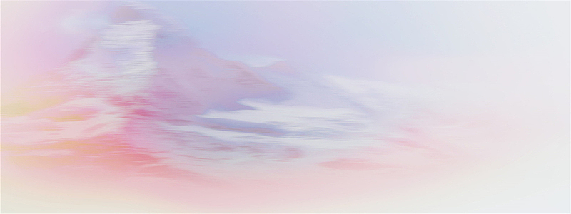 唯品会banner