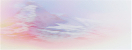 唯品会banner