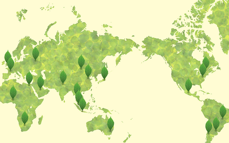 植树节地图绿色植物背景