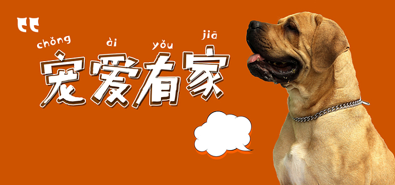宠爱有家简约可爱小狗banner