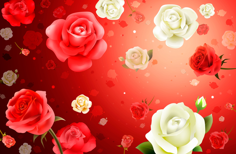 立体红白玫瑰 红色 花 婚礼(5175x3375)psdpng几何立体质感背景矢量
